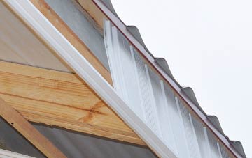why Litchard fascia repairs are essential