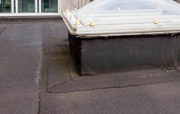 disadvantages of Litchard flat roofs