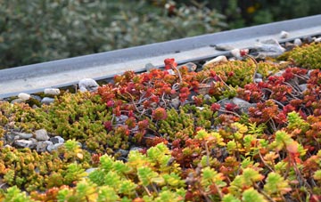 the cost of Litchard green roof installation