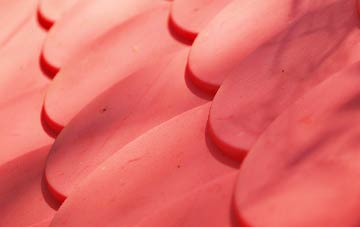 Litchard plastic roof costs