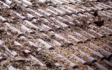 Litchard roof cleaning companies