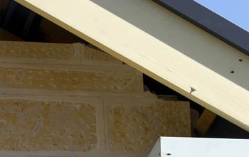 soffit repair Litchard