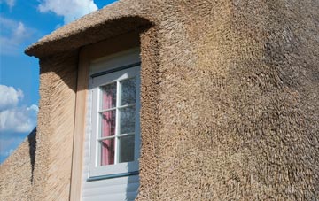 Litchard thatch roof disadvantages