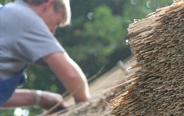 professional Litchard thatchers