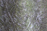 Litchard fibreglass roof work